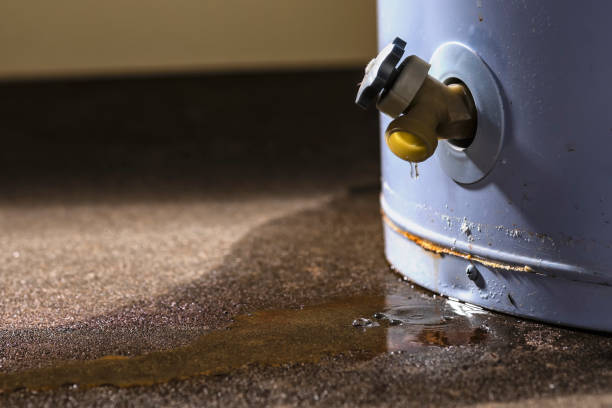 Best Commercial water damage restoration  in Montrose, CO