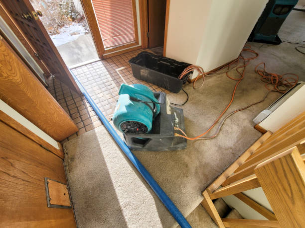 Best Ceiling water damage repair  in Montrose, CO