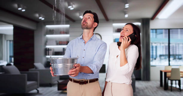 Best Local water damage restoration  in Montrose, CO